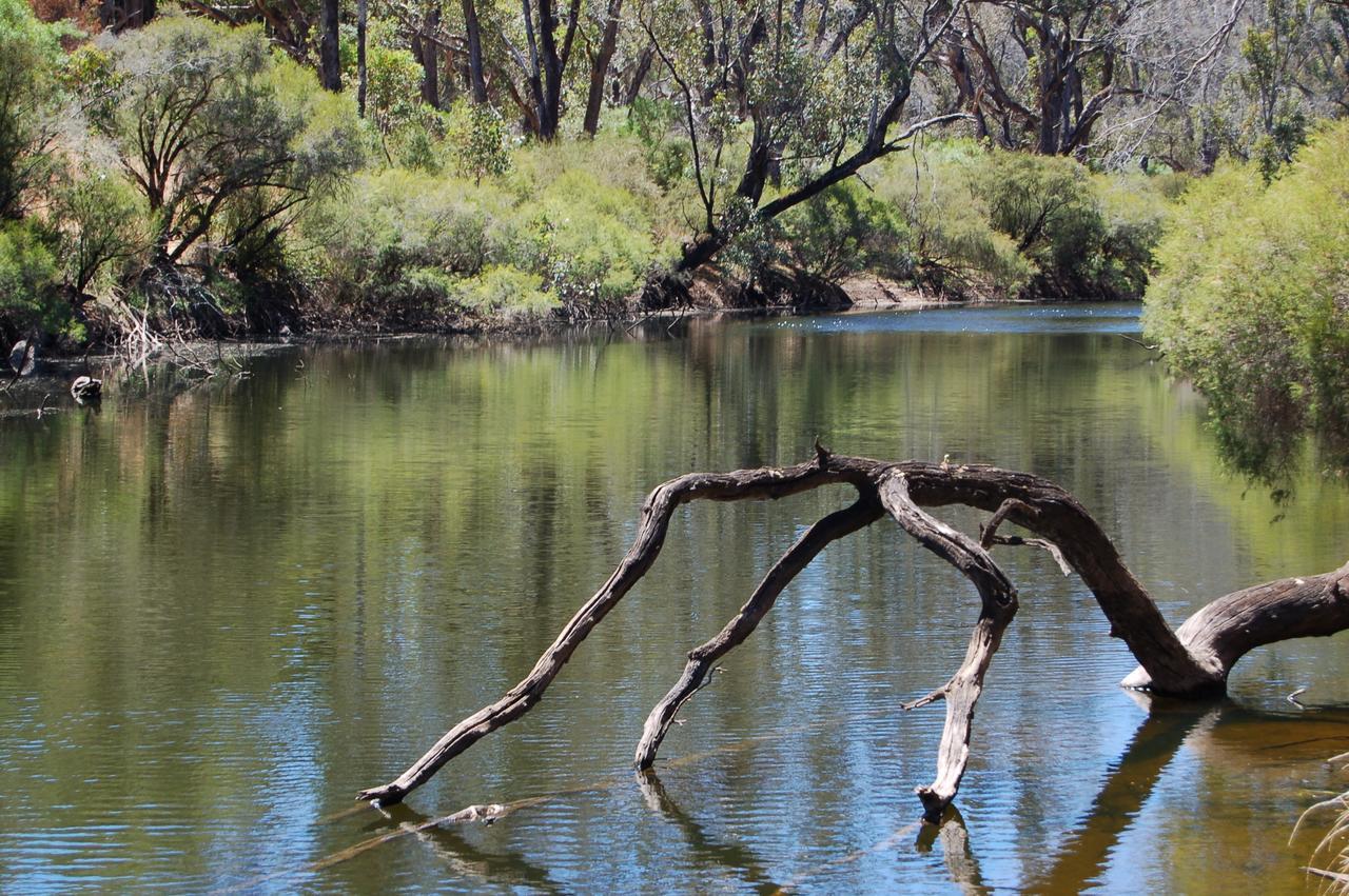 Beyonderup Falls Adult Retreat Nannup Room photo